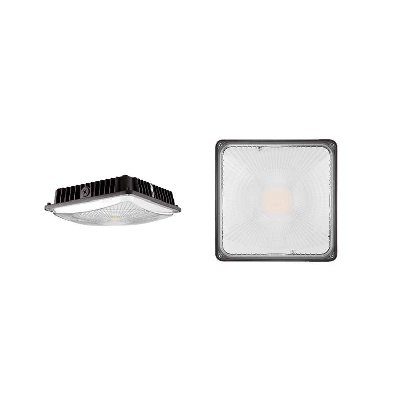 Canopy Lights